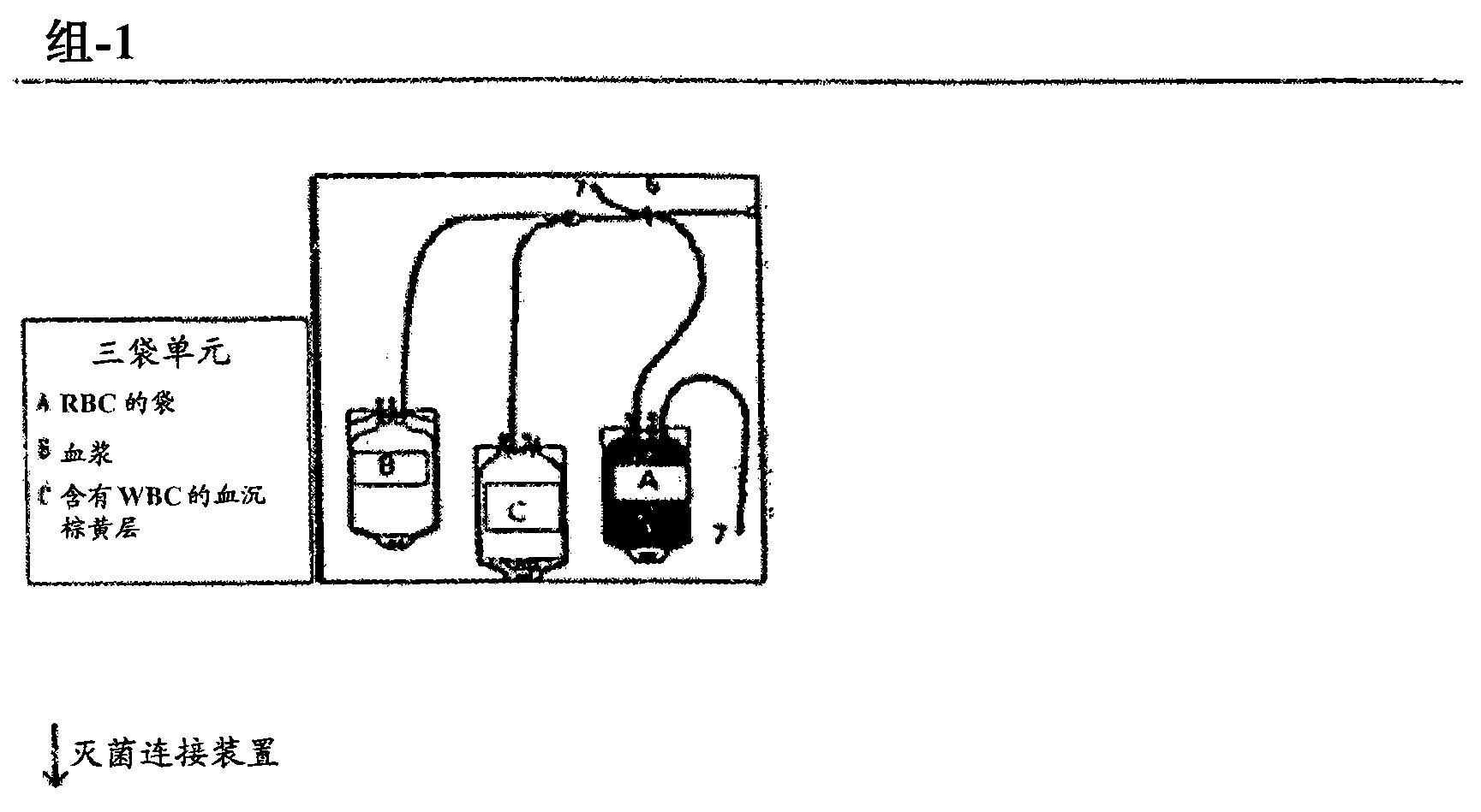 Activated leukocyte composition