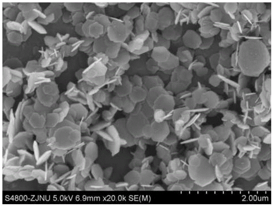 Magnetic micro-nano sheet, and preparation method and application thereof