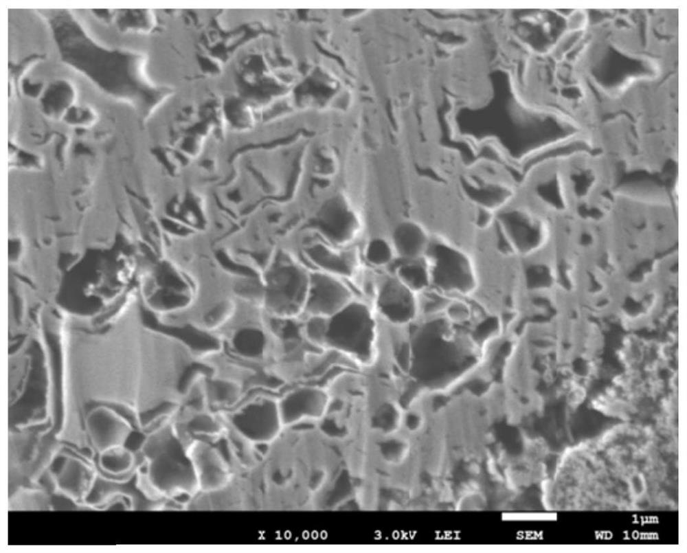 Porous silicon negative electrode material for lithium ion battery and preparation method thereof