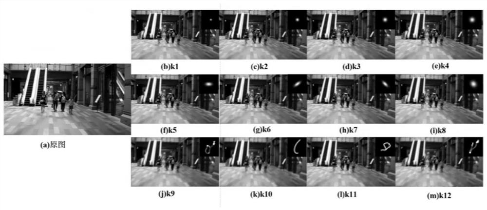 Image deblurring system and method based on dual control network