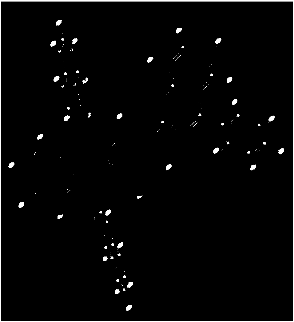 Novel organic electroluminescence device