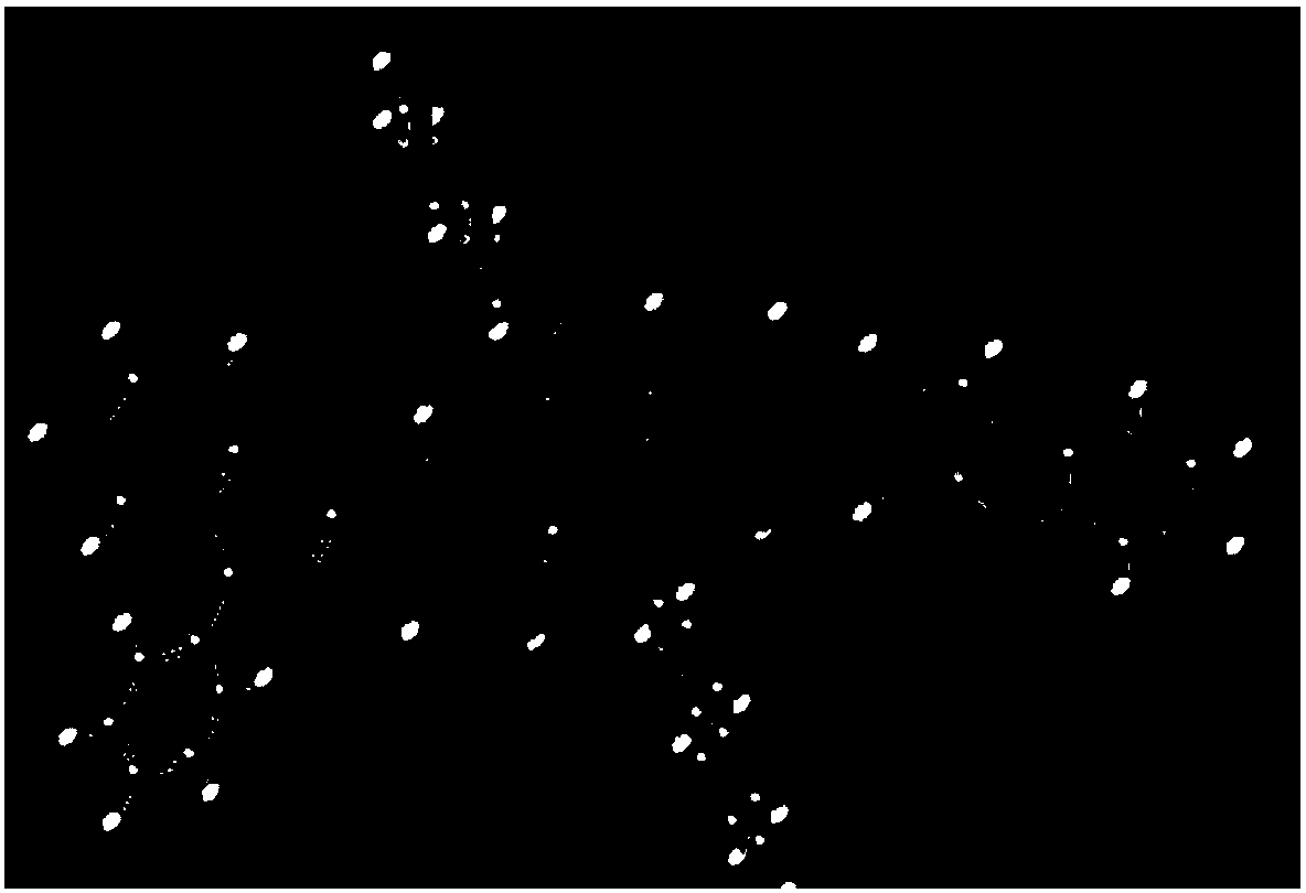 Novel organic electroluminescence device