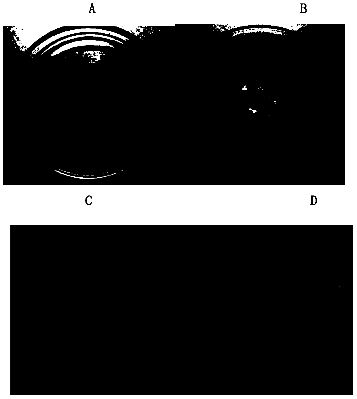 Application of 6-amyl-2H-pyran-2-ketone compound in preparing microbial agent for resisting fusarium oxysporum f.sp.cubense 4 physiological race and ustilaginoidea virens