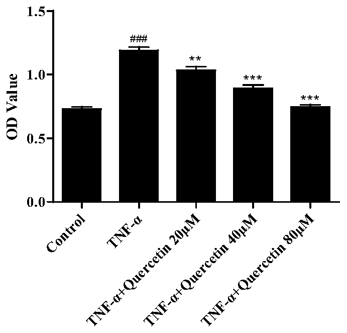 Method for restraining TNF-alpha induced human glomerular mesangial cell excessive proliferation and inflammatory pathway