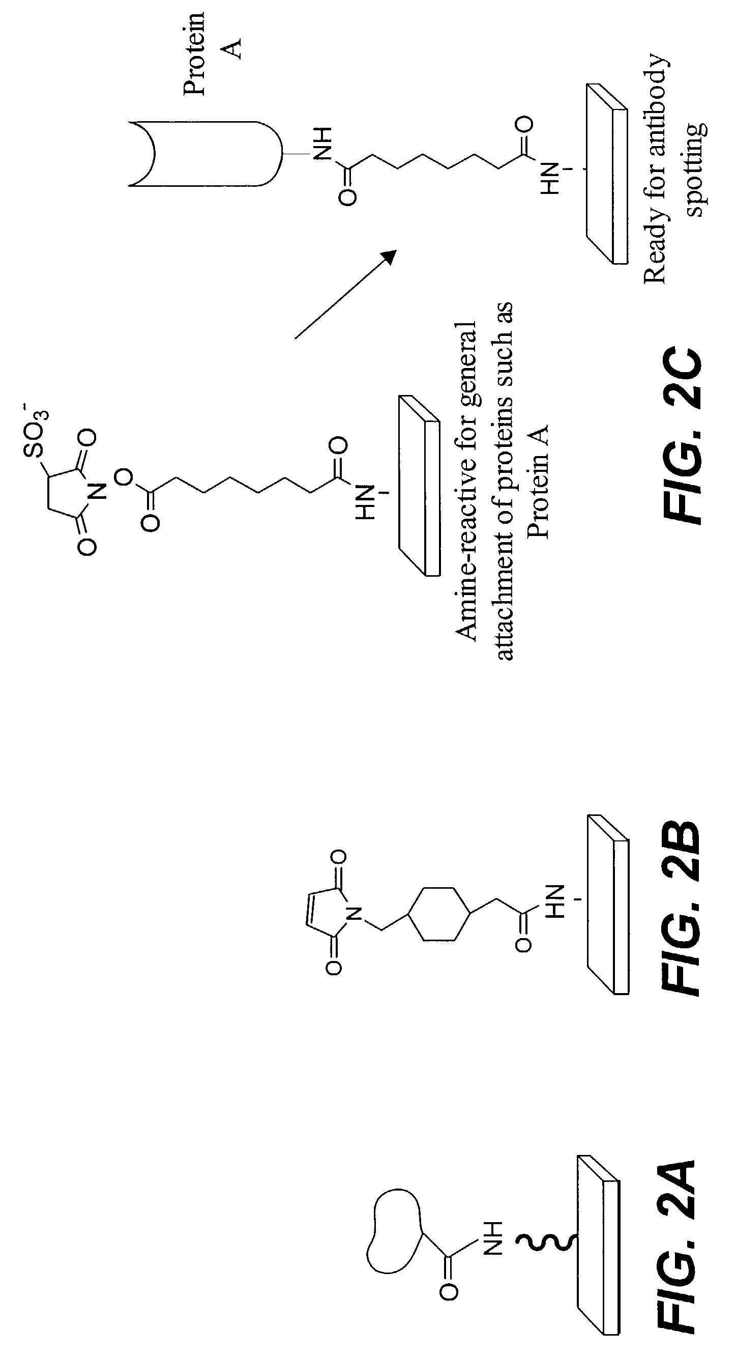 Protein microarrays on mirrored surfaces for performing proteomic analyses