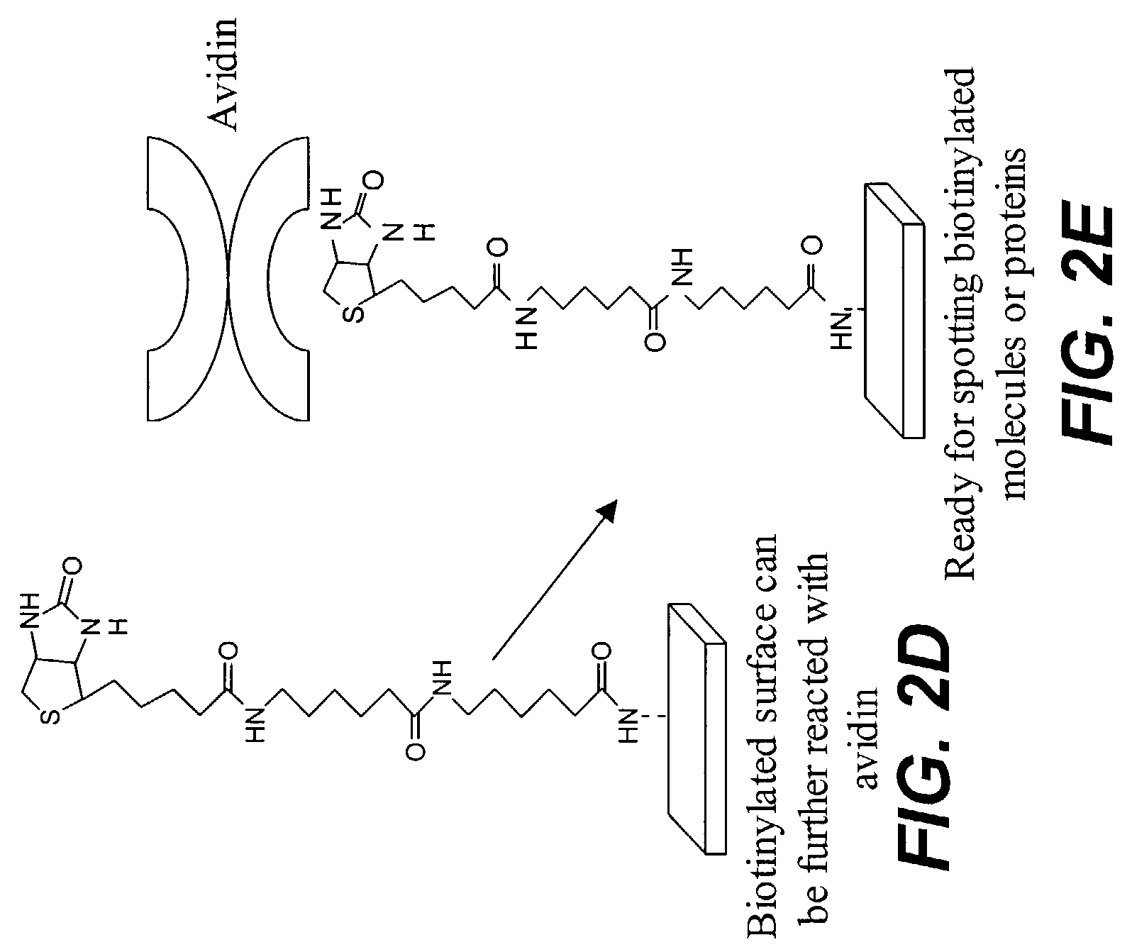 Protein microarrays on mirrored surfaces for performing proteomic analyses