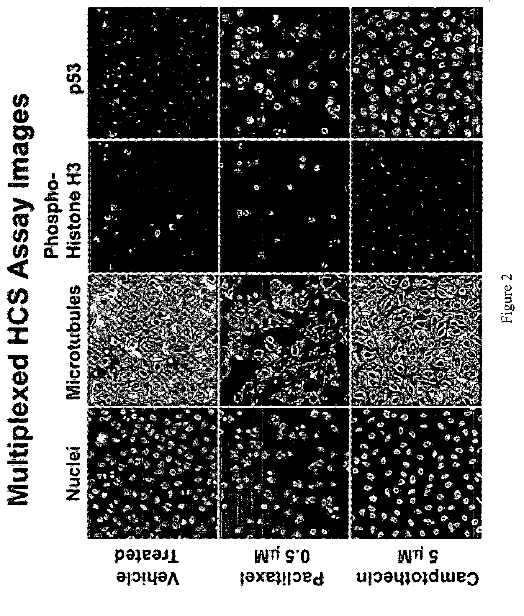 Method For Predicting Biological Systems Responses