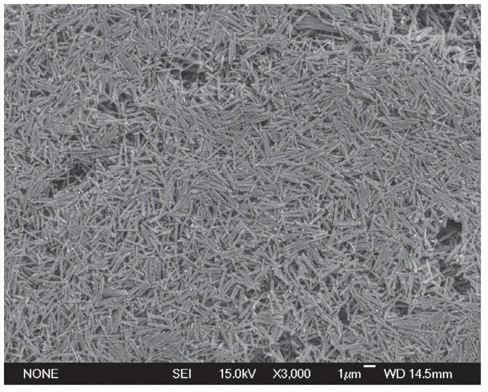 Low-dimensional nano-structured iron vanadate denitration catalyst, and preparation method and application thereof