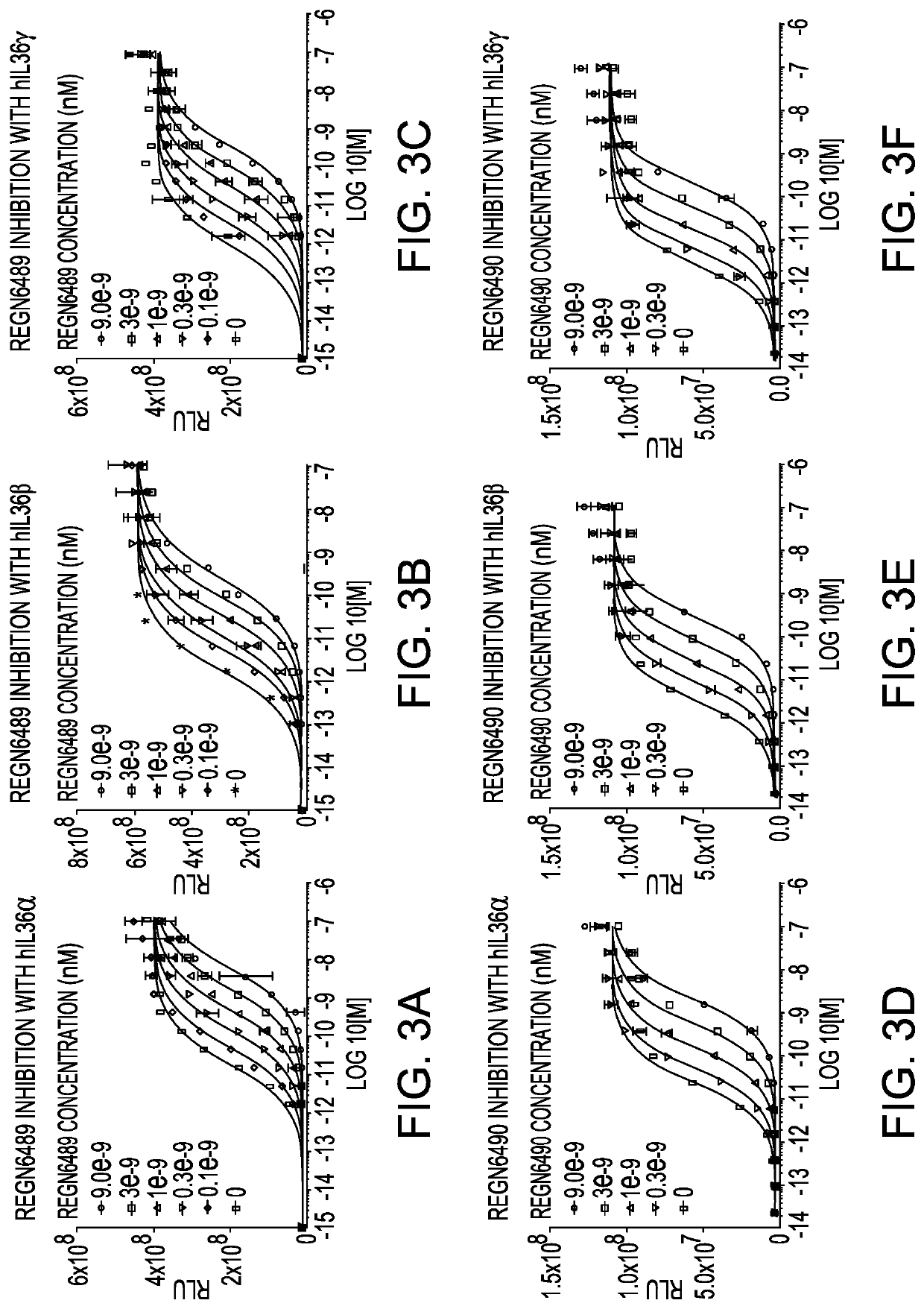 Anti-il36r antibodies