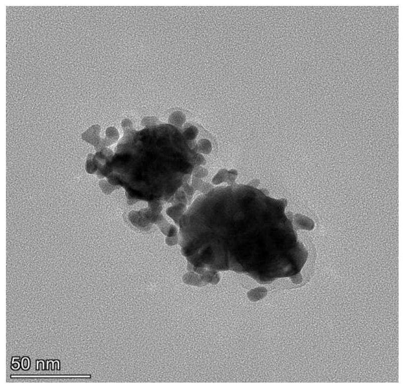 A polydopamine@gold composite nanoflower drug-loaded particle and its preparation method and application