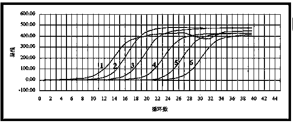 Fluorescent quantitative PCR detection technology of brassicaceous vegetable plasmodiophoromycetes, and its application