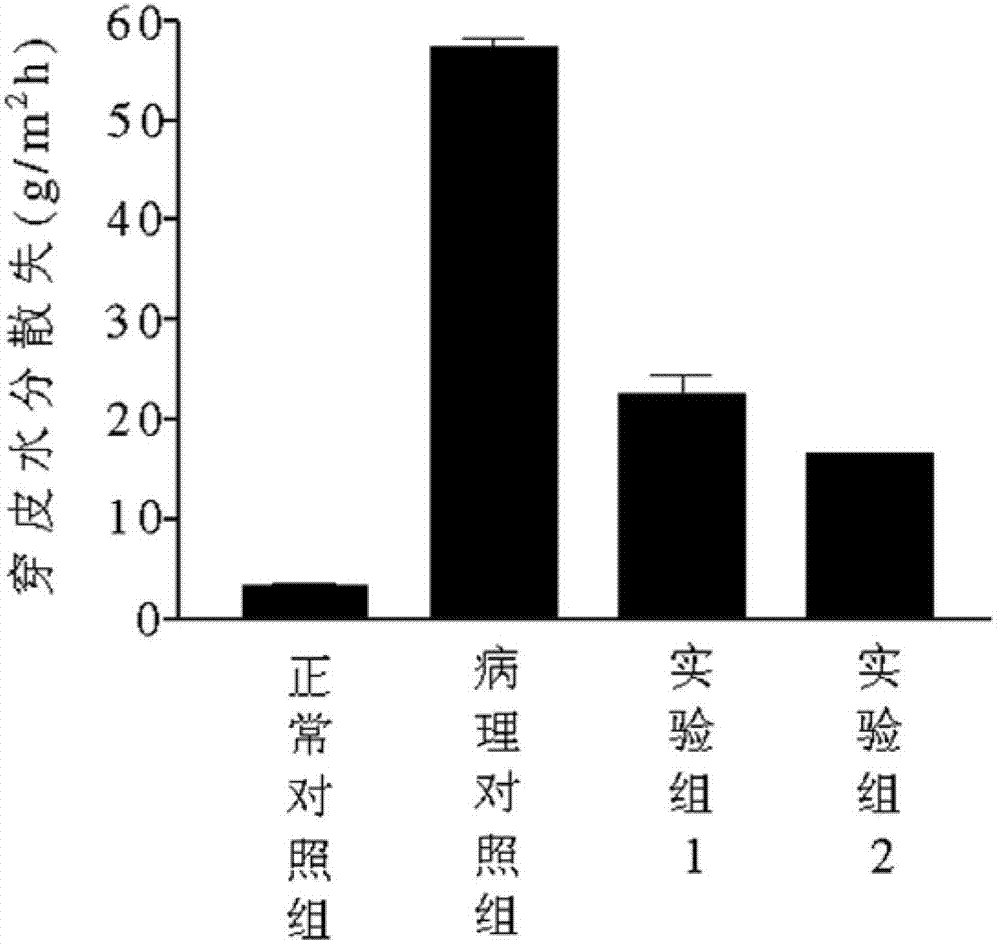 Method for treating and/or preventing inflammation and cutaneous photodamage by using water soluble extract from plant of Solanum genus and having photoprotective effect