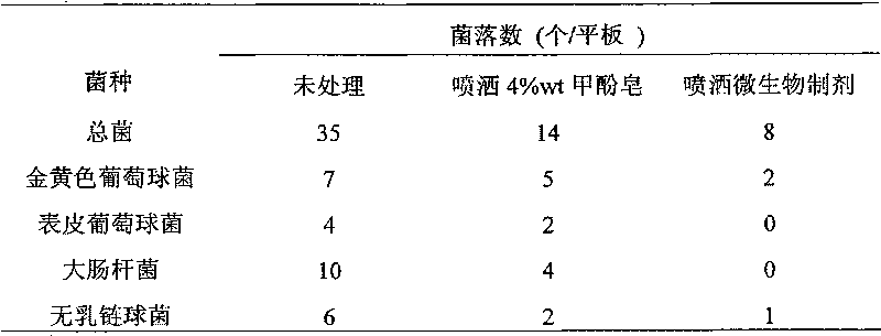 Microbial preparation for controlling and eliminating mastitis pathogenic bacterium and application thereof