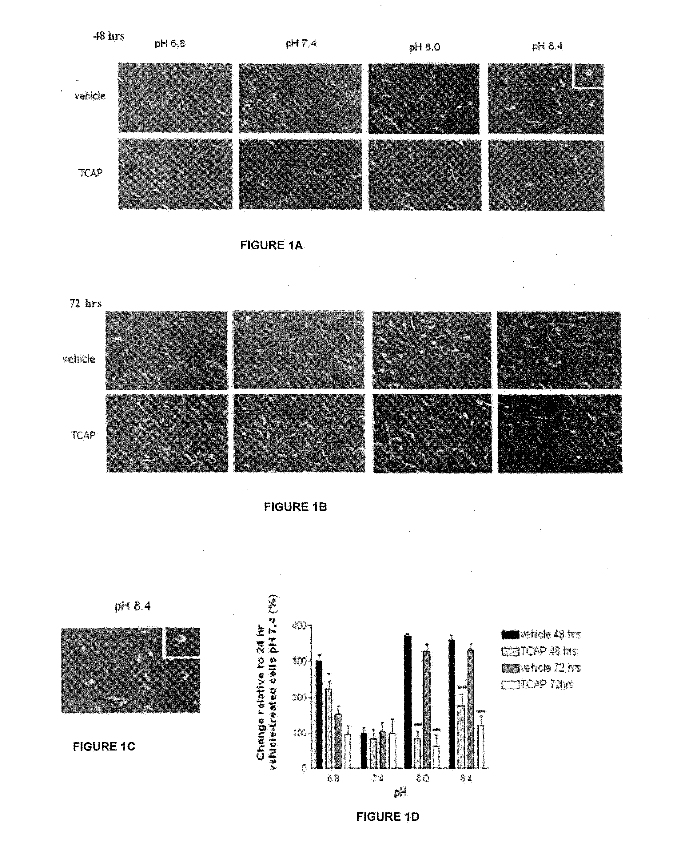 Method for Regulating Neurite Growth