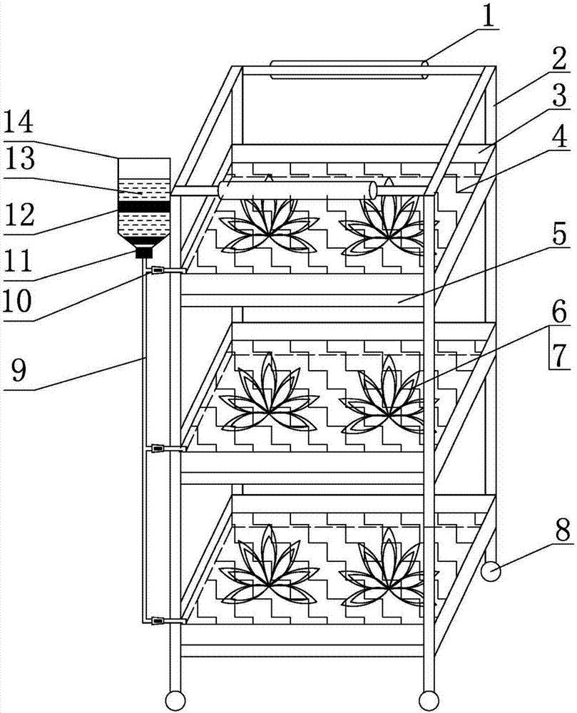 Mononychellus tanajoa experimental population feeding device and method