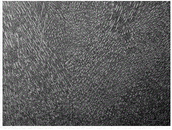 Metallographic corrosive agent of high nitrogen stainless steel and metallographic structure display method