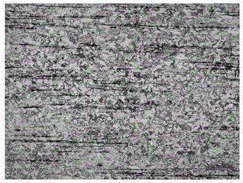 Metallographic corrosive agent of high nitrogen stainless steel and metallographic structure display method