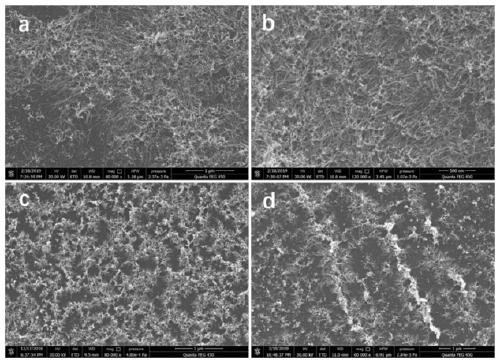 Superfine three-dimensional platinum nanowire array growing on substrate under control of strong ligand, and method thereof