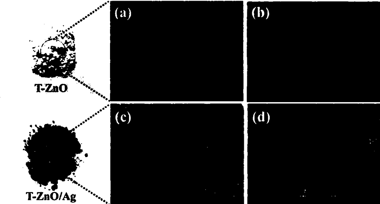 Low-reflection high shielding electromagnetic shielding composite material with gradient structure and preparation method of low-reflection high shielding electromagnetic shielding composite material