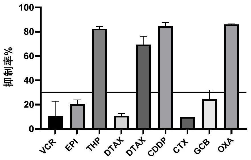 Individualized drug sensitivity detection method for tumor tissue homogenate substituted serum micro-tissue block