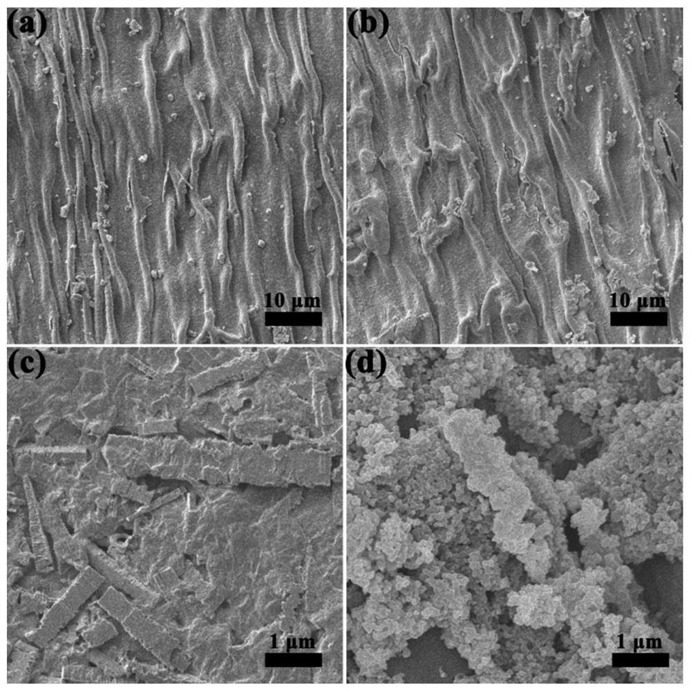 A method for preparing hexavalent chromium ion adsorbent using calla lily as raw material