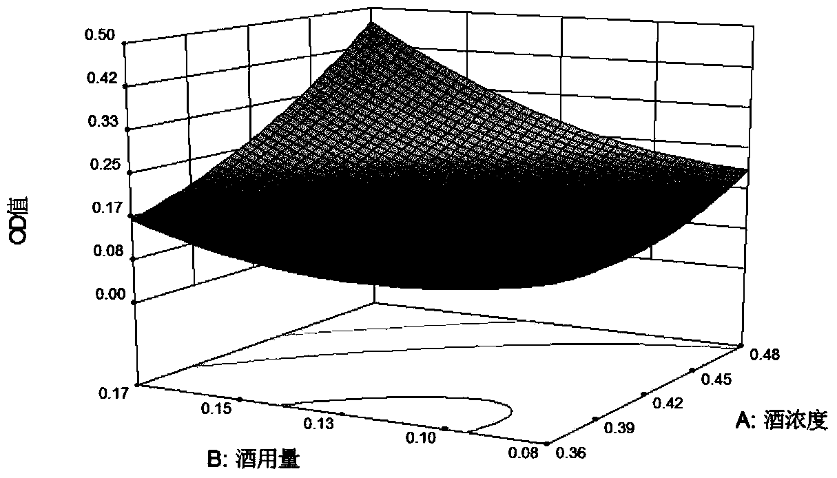 Dendrobe processing method and technical screening method of dendrobe