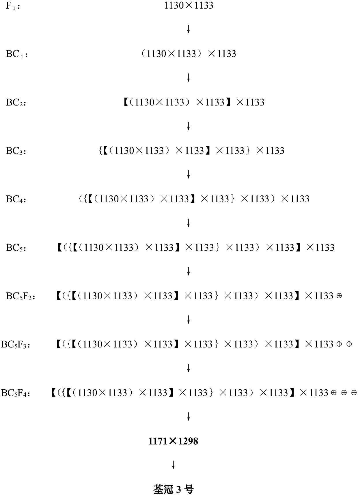 The Breeding Method and Application of the Non-Manny Type Pumpkin