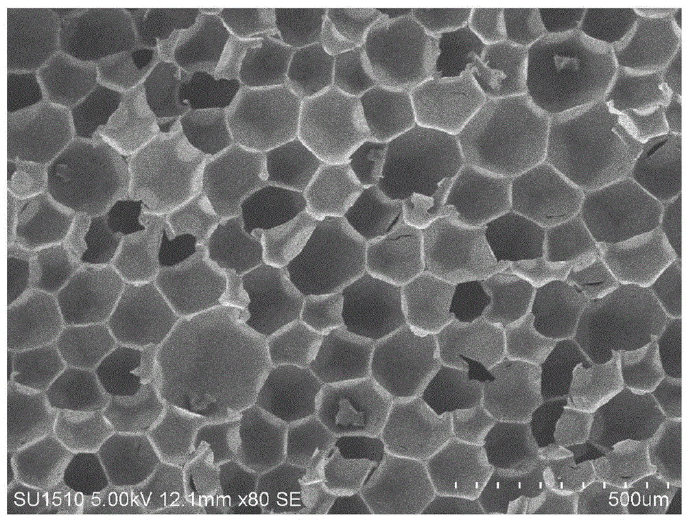 Method for preparing phenolic foam containing expanded graphite