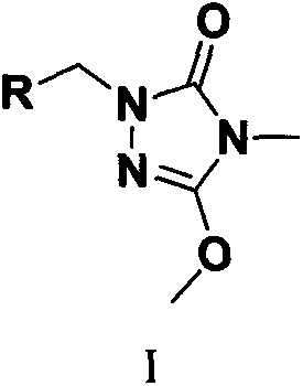 Preparation and application of a kind of triazolone compound