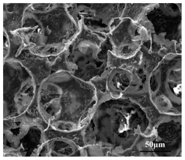 A kind of graphite phase carbon nitride foam photocatalytic material and preparation method thereof