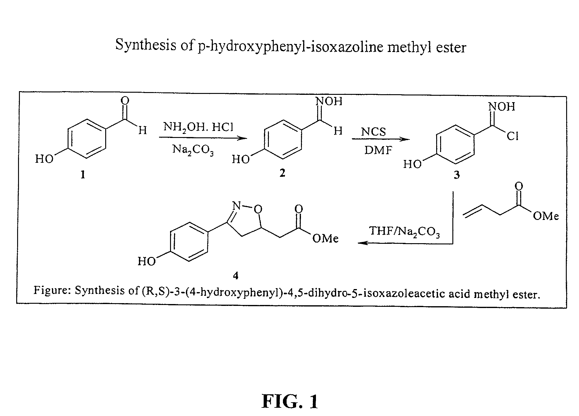 Isoxazoline compounds having MIF antagonist activity