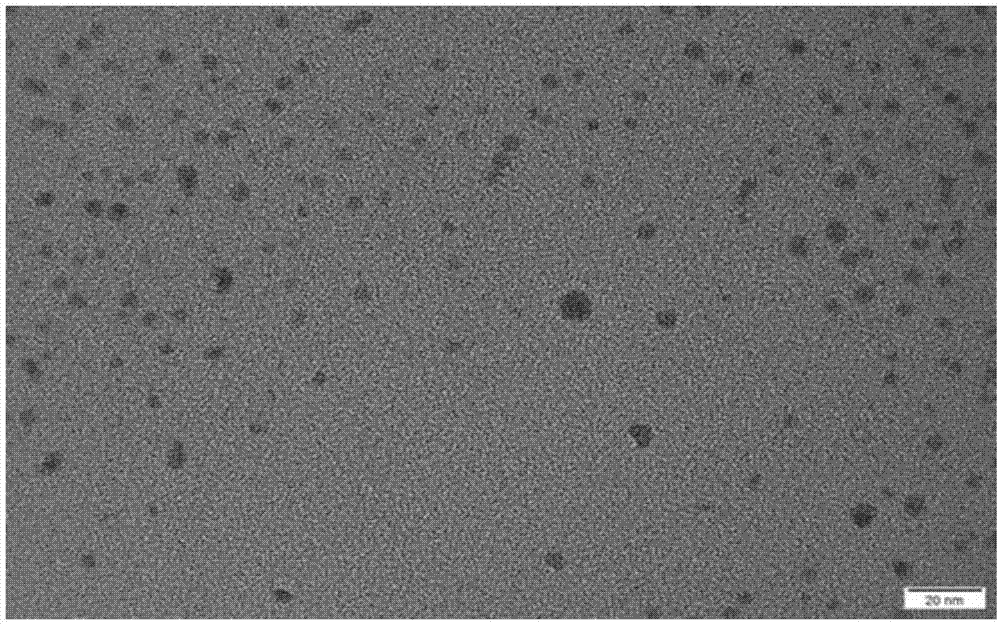 Rate type fluorescent probe used for mercuric ion detection and preparing method thereof