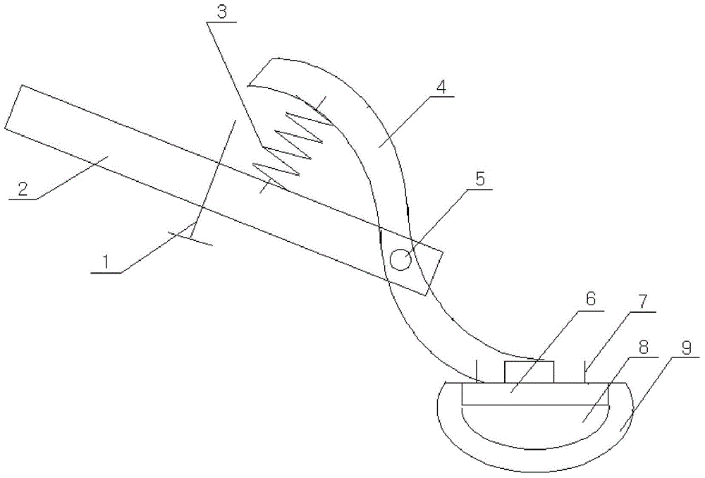 Detection apparatus and detection method of surface cleaning effect of cold-rolled sheet