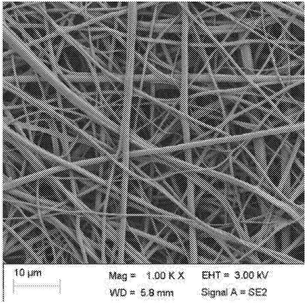 Tissue repair scaffold and preparation method and use thereof