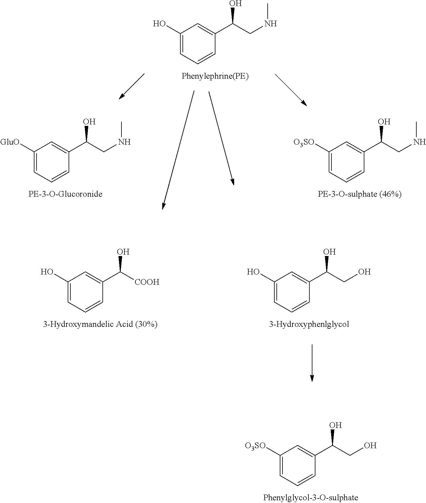 Phenylephrine resinate particles having good auc