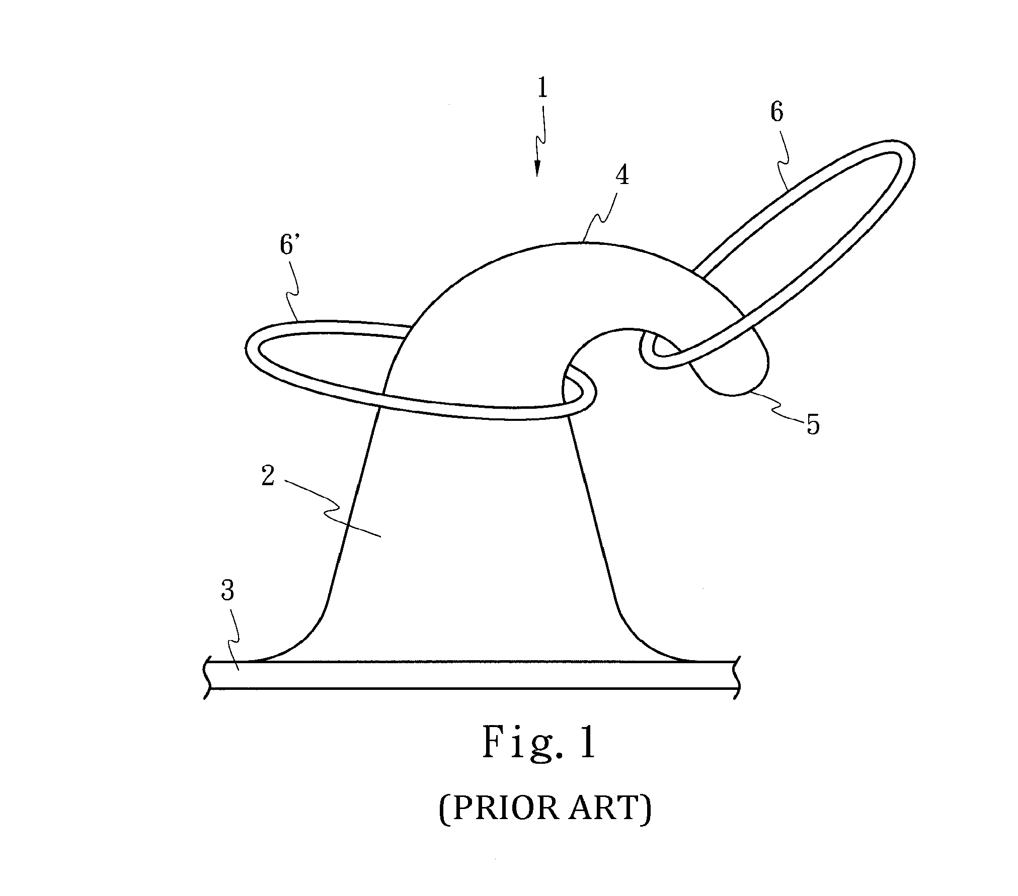 Hook structure and injection molded hook strap including the same