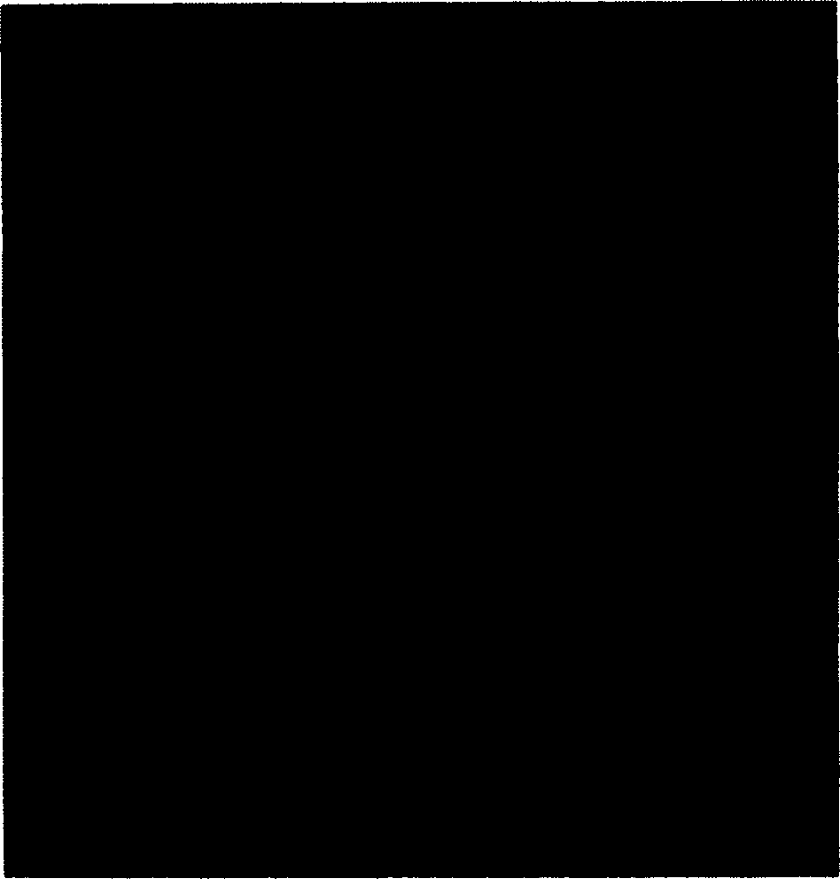 Process for preparing semisolid non-dendritic zinc base alloy