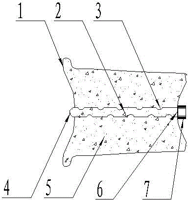 Novel degradable stopper implanted through guide pipe and conveying system of novel degradable stopper