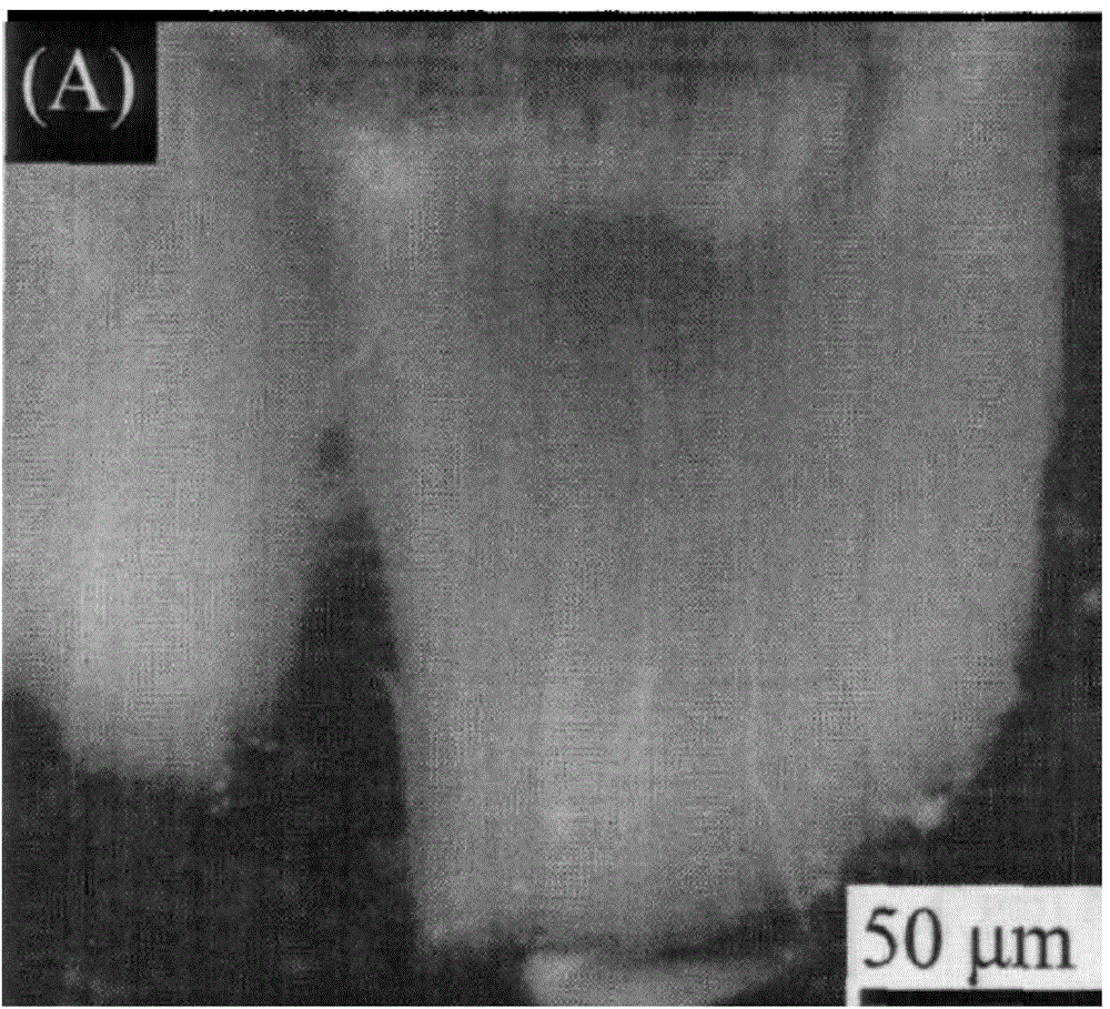 Method for directly growing carbon nano tube array on fiber substrate