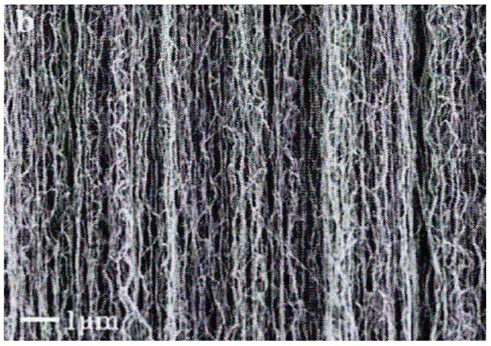 Method for directly growing carbon nano tube array on fiber substrate