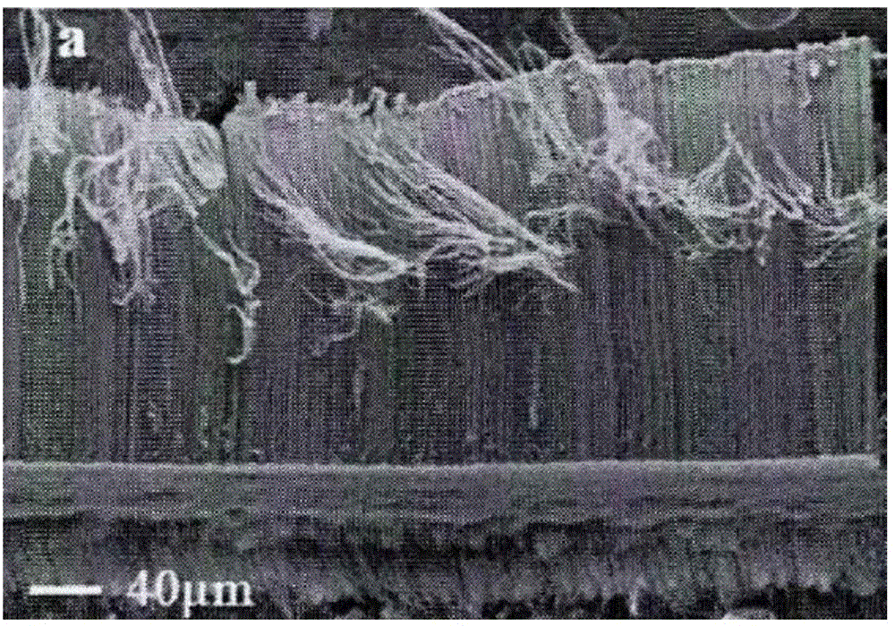 Method for directly growing carbon nano tube array on fiber substrate