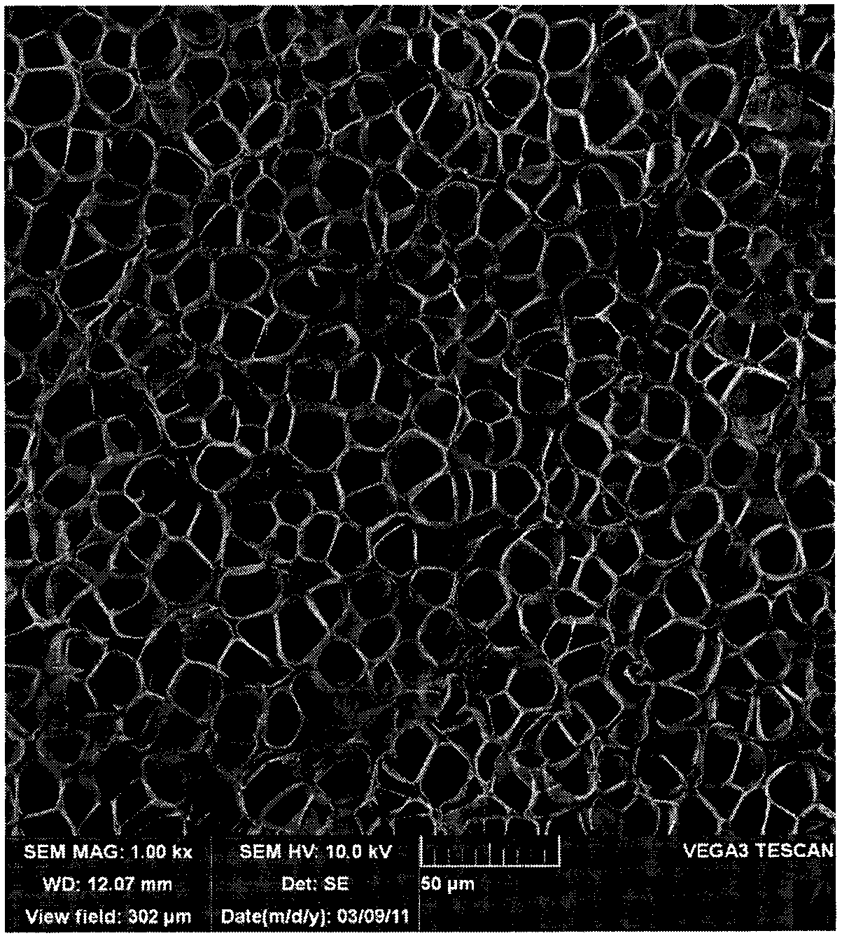 Preparation method for polycarbonate microcellular foaming material