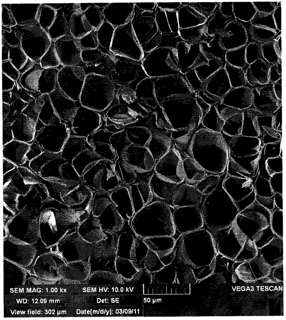 Preparation method for polycarbonate microcellular foaming material