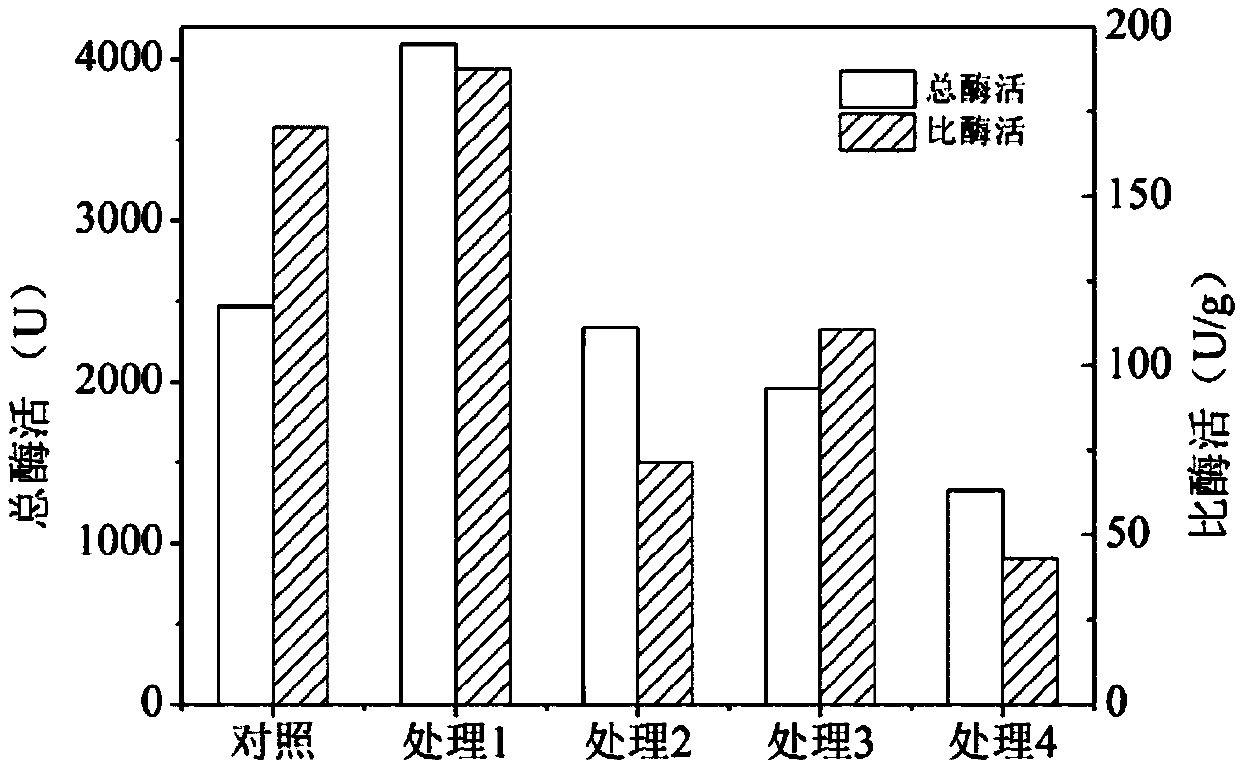 Novel method for improving expression amount of alpha-galactosidase displayed on surfaces of saccharomyces cerevisiae cells prepared by fermentation tank