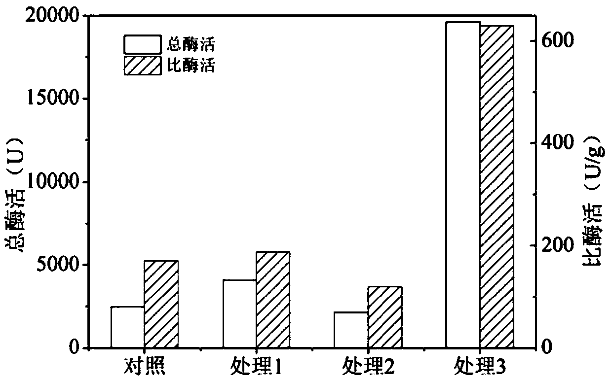 Novel method for improving expression amount of alpha-galactosidase displayed on surfaces of saccharomyces cerevisiae cells prepared by fermentation tank