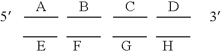 Methods of treating autoimmune diseases with gp39-specific antibodies