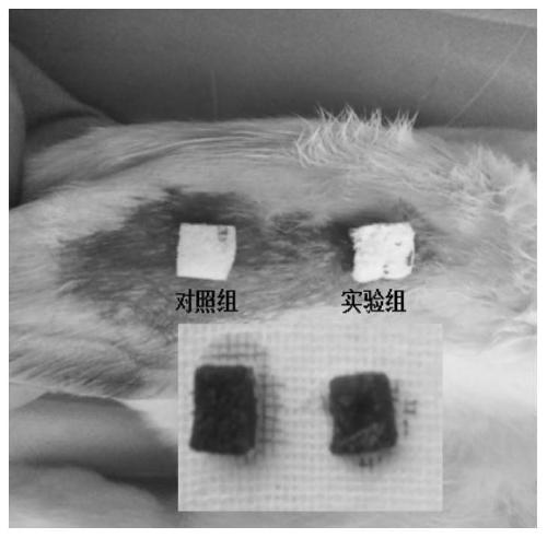 A kind of porous hemostatic sponge and preparation method thereof