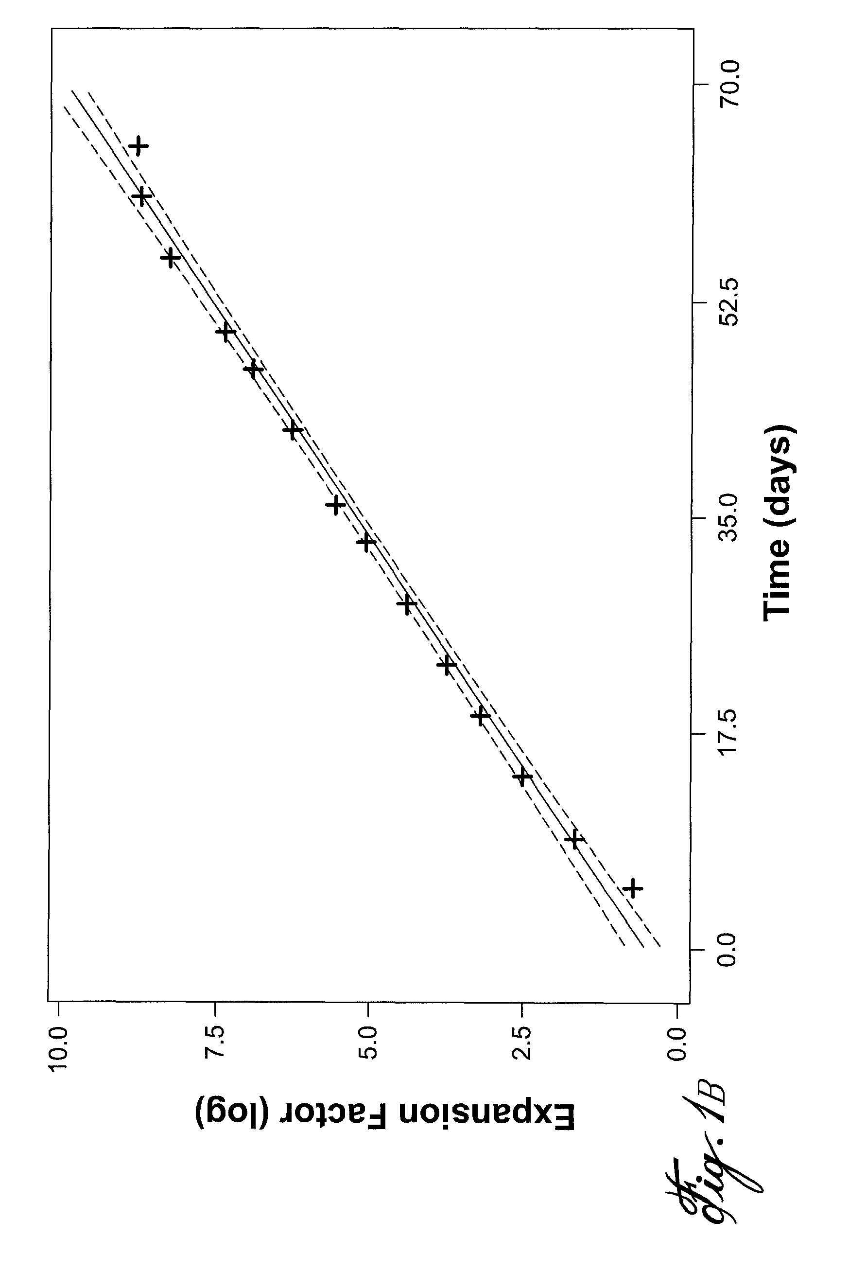 Method for polyclonal immunoglobulin G production by human B cells