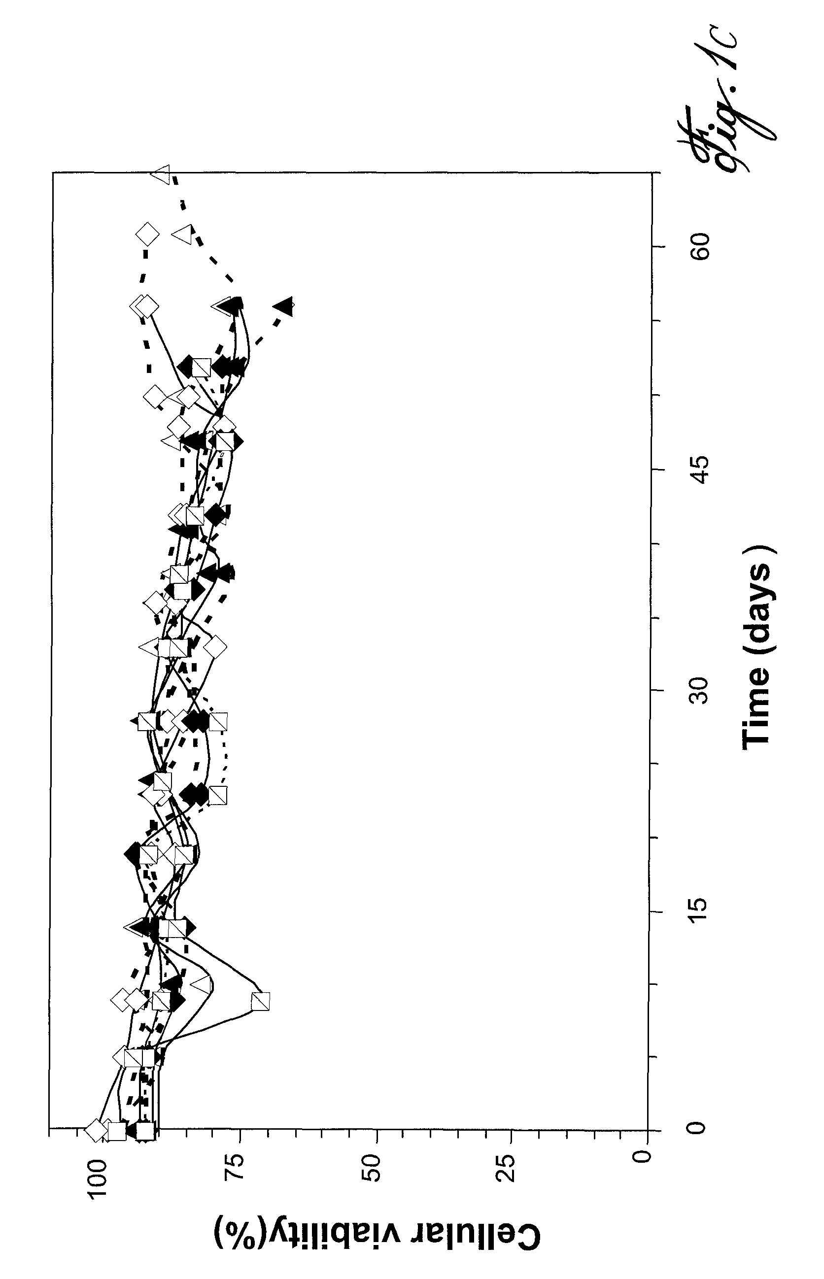 Method for polyclonal immunoglobulin G production by human B cells