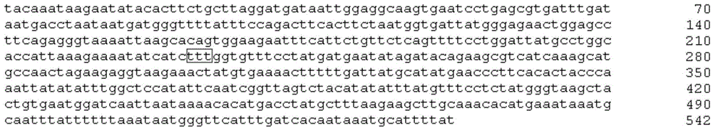 Method and oligonucleotide for detecting δf508 mutation of cftr gene